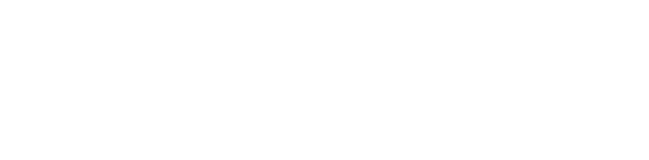 Scavolt